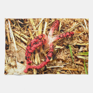 タコの匂いのするお茶 キッチンタオル