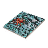 タコの小石 タイル (側面)