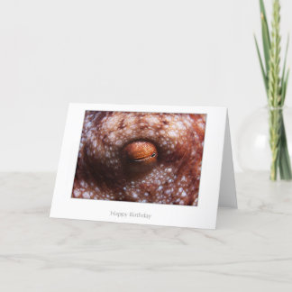 タコの目のバースデー・カード カード