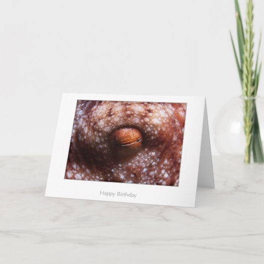タコの目のバースデー・カード カード (正面)