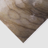 タコの目 薄葉紙 (詳細)