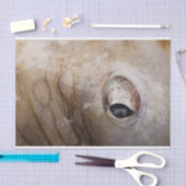 タコの目 薄葉紙 (クラフト)