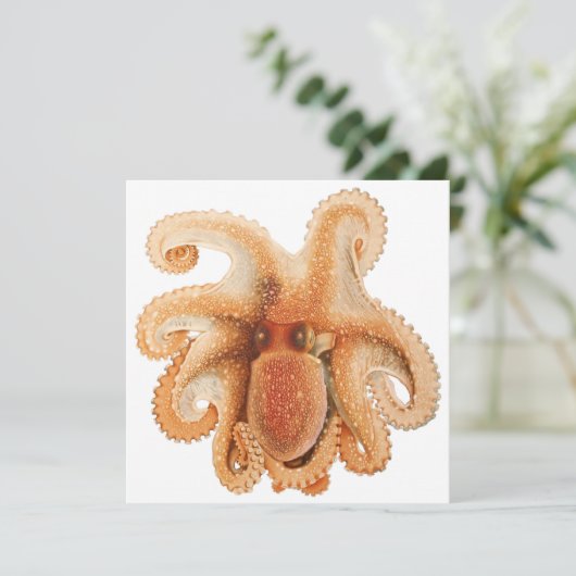 タコのSalutii、ビンテージ海洋水生動物 (スタンド正面)