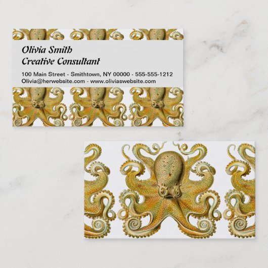 タコアンティークイラストレーションシーモンスター 名刺 (正面/裏面)