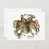 タコイカ動物ヴィンテージイラストレーションはがき ポストカード (正面/裏面)