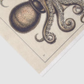 タコイカGamochoniaデクページティッシュペーパー 薄葉紙 (詳細)