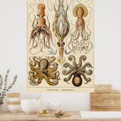 タコイカGamochonia by Ernst Haeckel ポスター (キッチン)