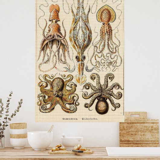 タコイカGamochonia by Ernst Haeckel ポスター (キッチン)