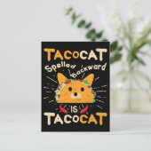 タコカットスペリングBackwards Cinco de Mayo Cat Taco ポストカード (スタンド正面)