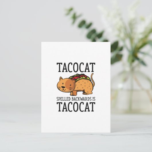 タコカ ポストカード (スタンド正面)