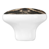 タコスチームパンクマリンライフ水中競技 セラミックノブ (側面)