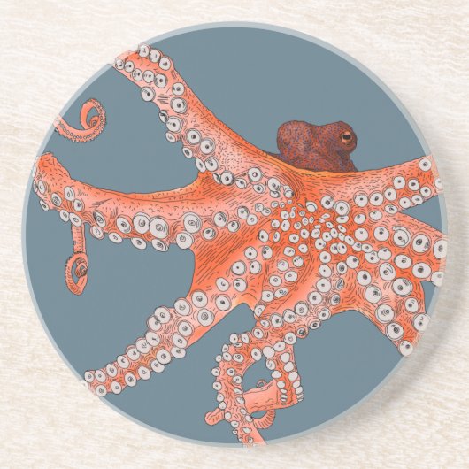 タコハグ コースター (正面)