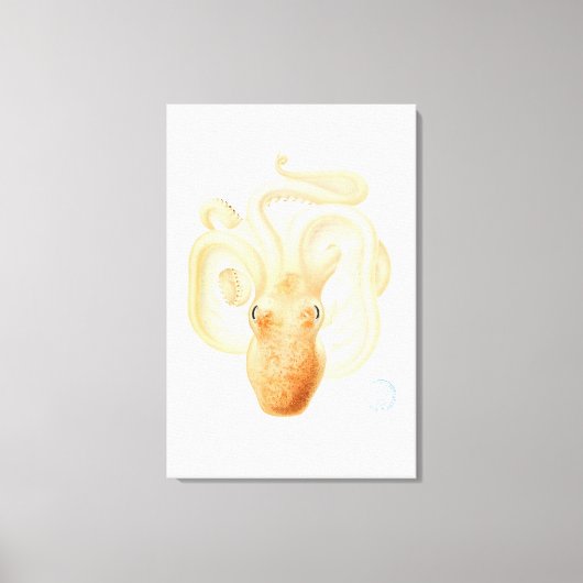 タコプリント キャンバスプリント (正面)