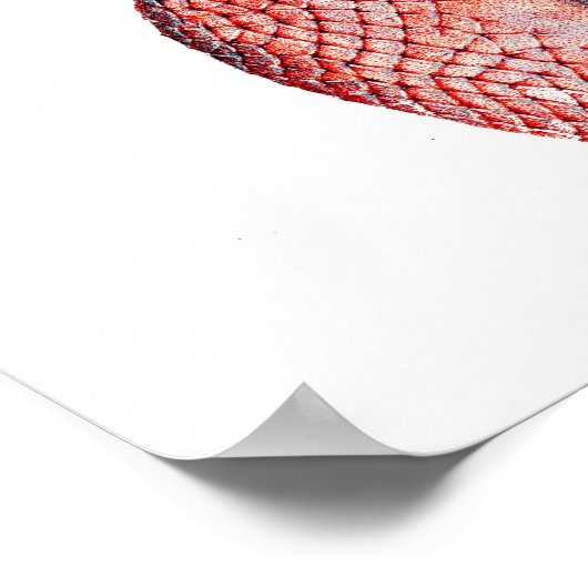 タコプリントNo.4セファロポッド海の生物アート ポスター (角)