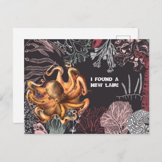 タコ園の住所の変更 ポストカード (正面/裏面)