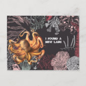 タコ園の住所の変更 ポストカード (正面)