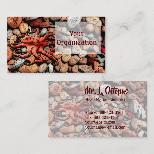 タコ小石 名刺 (正面/裏面)