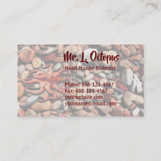 タコ小石 名刺 (裏面)