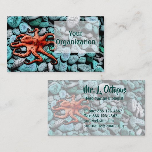 タコ小石 名刺 (正面/裏面)