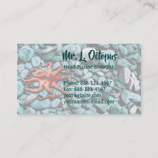 タコ小石 名刺 (裏面)