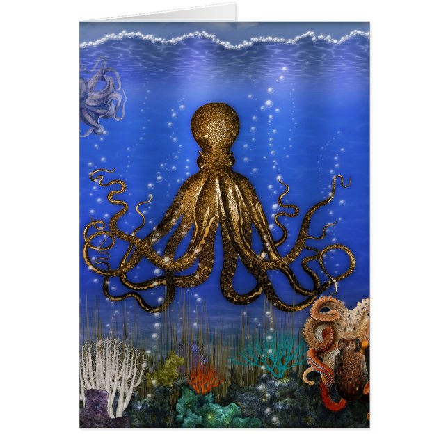 タコ川 – カラフル (正面)