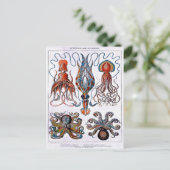 タコ教育プレートはがき ポストカード (スタンド正面)