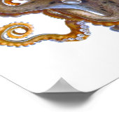 タコ海の生物プリント ポスター (角)