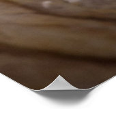 タコ目 ポスター (角)