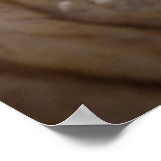 タコ目 ポスター (角)