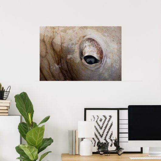 タコ目 ポスター (ホームオフィス)