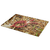 タコ石角ガラスの切り板 カッティングボード (角)