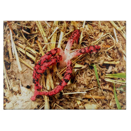 タコ石角ガラスの切り板 カッティングボード (正面)