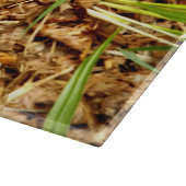 タコ石角ガラスの切り板 カッティングボード (角)