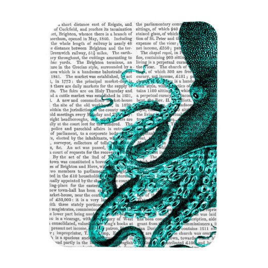 タコ緑の半分 マグネット (縦)