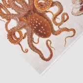 タコ航海のイカEphemeraデコップレッド 薄葉紙 (詳細)