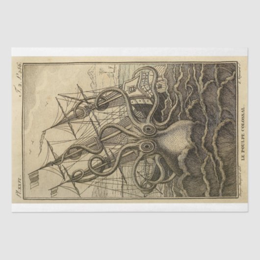 タコ航海のボートエフエマラデコップシップ 薄葉紙 (正面)