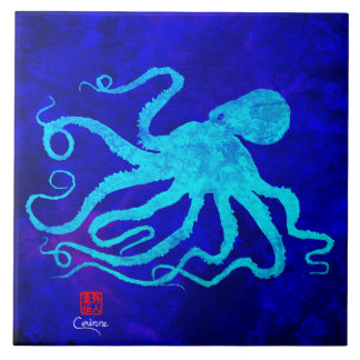 タコ6 R – 大タイル タイル