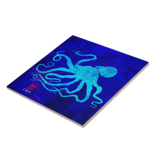 タコ6 R – 大タイル タイル (側面)