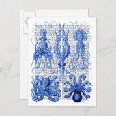 タコ&イカ青 ポストカード (正面/裏面)