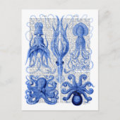 タコ&イカ青 ポストカード (正面)