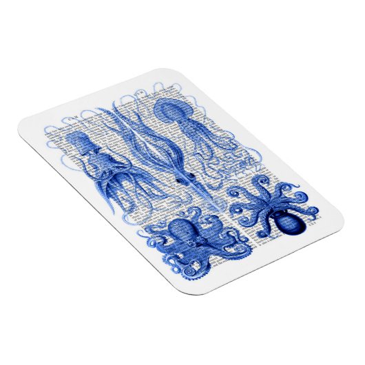 タコ&イカ青 マグネット (右側)