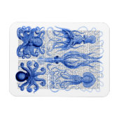 タコ&イカ青 マグネット (横)