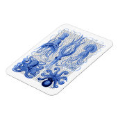 タコ&イカ青 マグネット (左側)