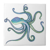 タコ タイル (正面)