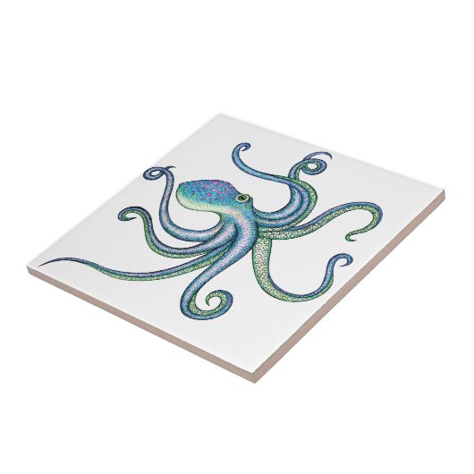 タコ タイル (側面)