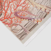 タコ、ピンクコーラルシェルコンパスデコペ紙 薄葉紙 (詳細)