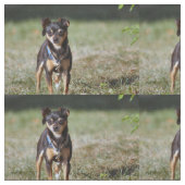 タコ ファブリック (クローズアップ)