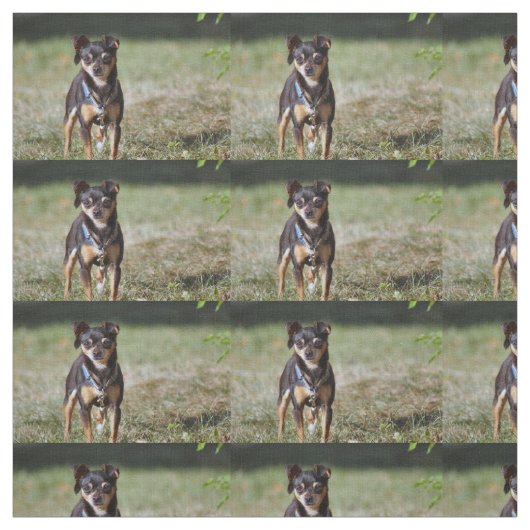 タコ ファブリック (見本)