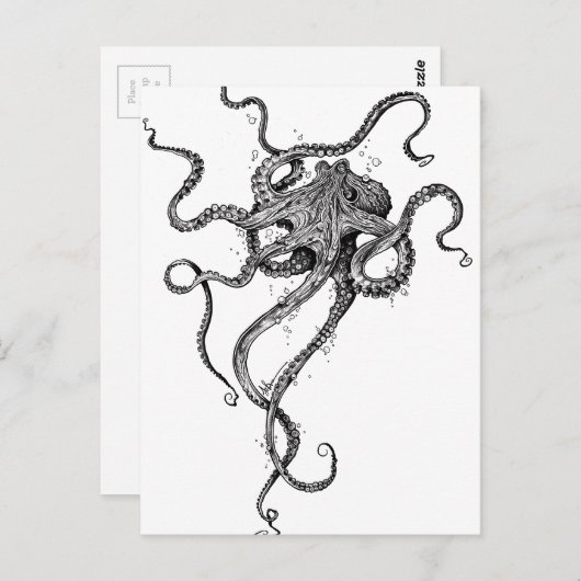 タコ ポストカード (正面/裏面)