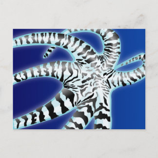 タコ ポストカード